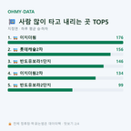 지정면 맛보기