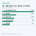 월계동 맛보기