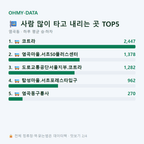 염곡동 맛보기