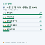조치원읍 맛보기