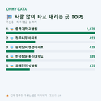 개신동 맛보기