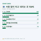 진인동 맛보기