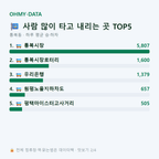 통복동 맛보기