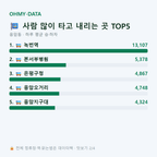 응암동 맛보기