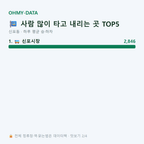 신포동 맛보기