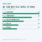 강상면 맛보기