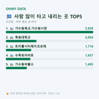 도안동 맛보기