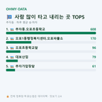 추자동 맛보기