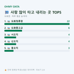 도화면 맛보기