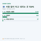 해밀동 맛보기