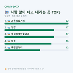 양강면 맛보기