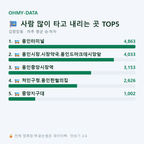 김량장동 맛보기