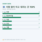 대지면 맛보기