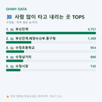 수정동 맛보기