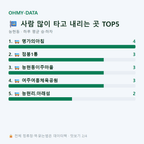 능현동 맛보기