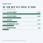 과천동 맛보기