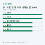 효자면 맛보기