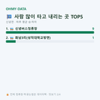 신녕면 맛보기