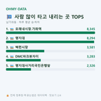 남가좌동 맛보기