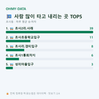 초사동 맛보기
