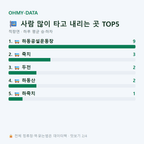 적량면 맛보기