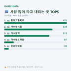 가수원동 맛보기