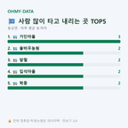 동상면 맛보기