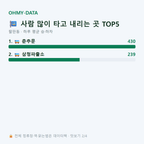 팔판동 맛보기
