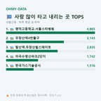 내발산동 맛보기