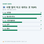 법수면 맛보기