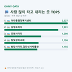원당동 맛보기