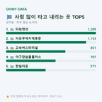 양덕동 맛보기