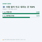 부평동2가 맛보기