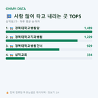 삼덕동2가 맛보기
