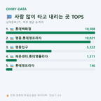 남대문로2가 맛보기
