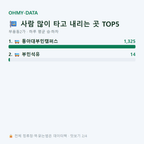 부용동2가 맛보기