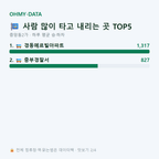 중앙동2가 맛보기