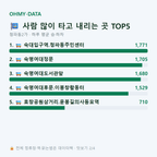 청파동2가 맛보기