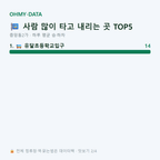 중앙동2가 맛보기