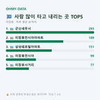 미장동 맛보기
