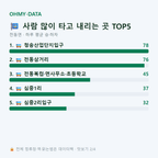 전동면 맛보기