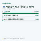 흥인동 맛보기