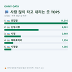 신정동 맛보기