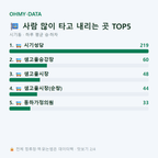 시기동 맛보기