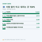마천동 맛보기