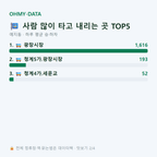 예지동 맛보기
