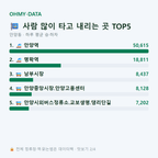 안양동 맛보기