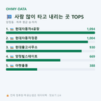 양정동 맛보기