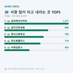 비래동 맛보기