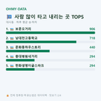 대사동 맛보기
